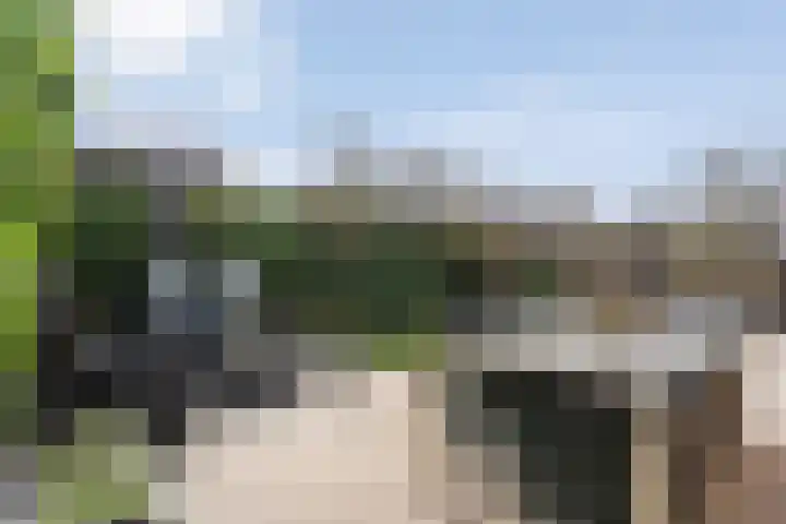 Herderstasje 54 Hardenberg thumbnail 53