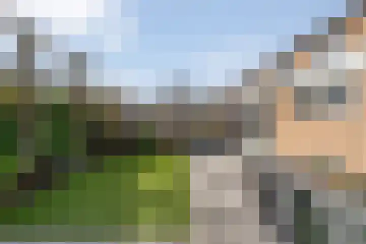 Herderstasje 54 Hardenberg thumbnail 54