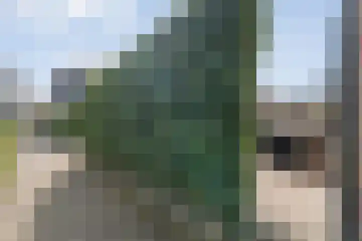 Herderstasje 54 Hardenberg thumbnail 58