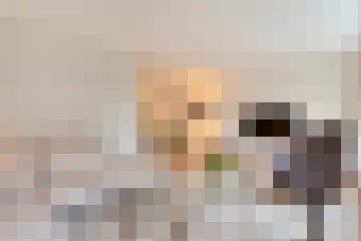 Herderstasje 54 Hardenberg thumbnail 6
