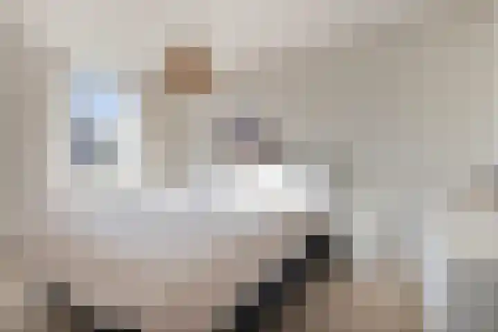 Herderstasje 8 Venray thumbnail 12