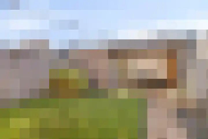 Herderstasje 8 Venray thumbnail 24