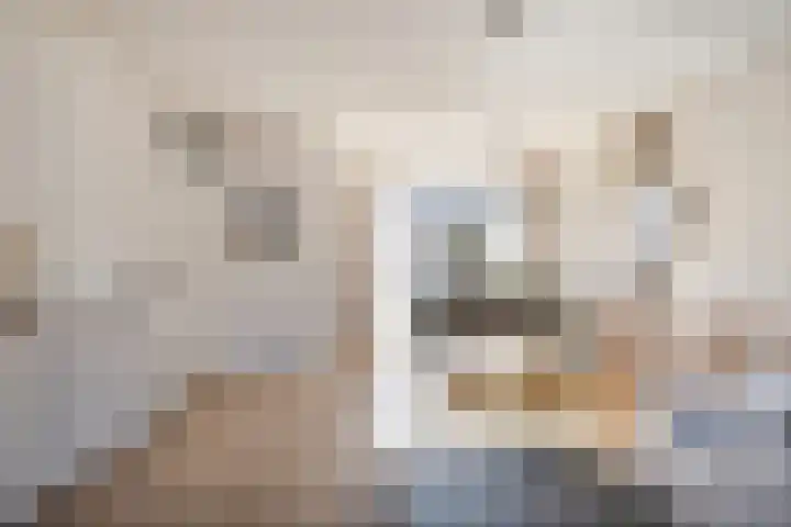 Herderstasje 8 Venray thumbnail 4