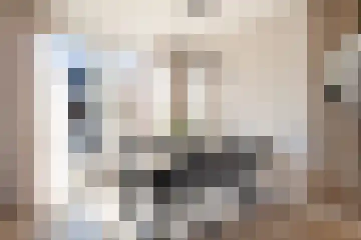 Herderstasje 8 Venray thumbnail 5