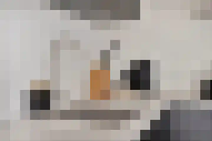 Herderstasje 8 Venray thumbnail 9