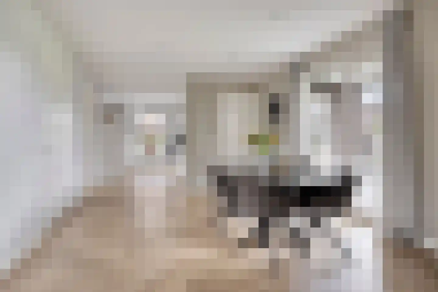 Herderstraat 15 Klazienaveen thumbnail 11