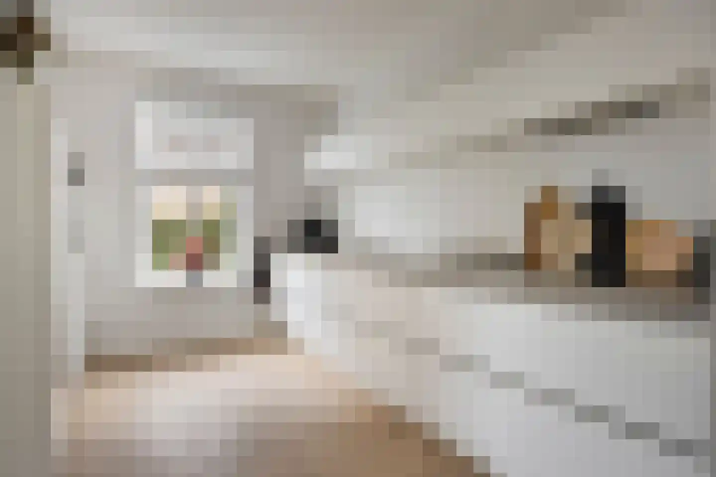 Herderstraat 15 Klazienaveen thumbnail 12