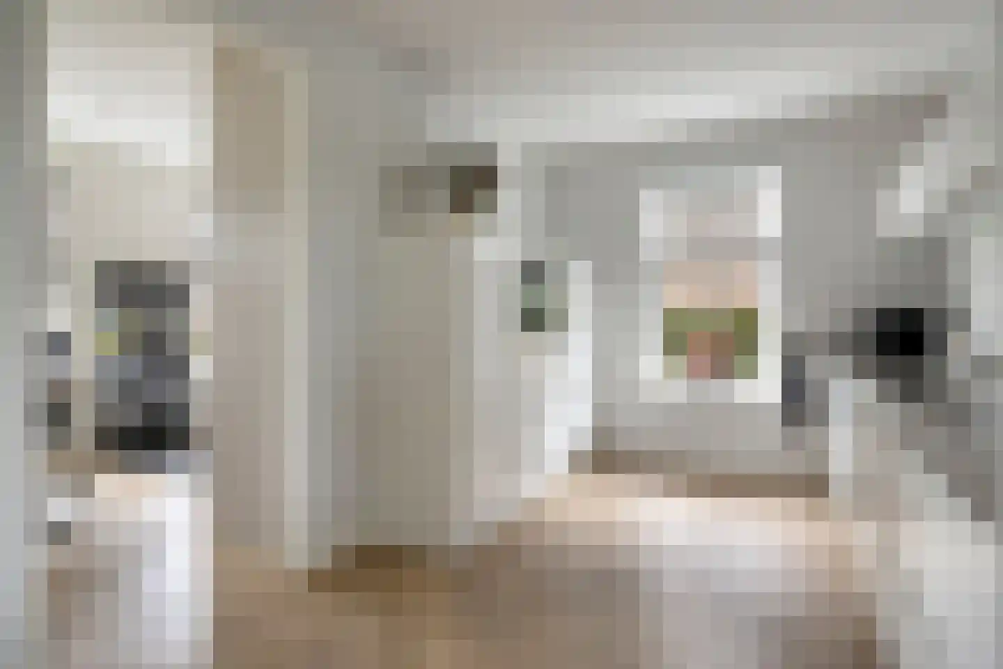 Herderstraat 15 Klazienaveen thumbnail 15