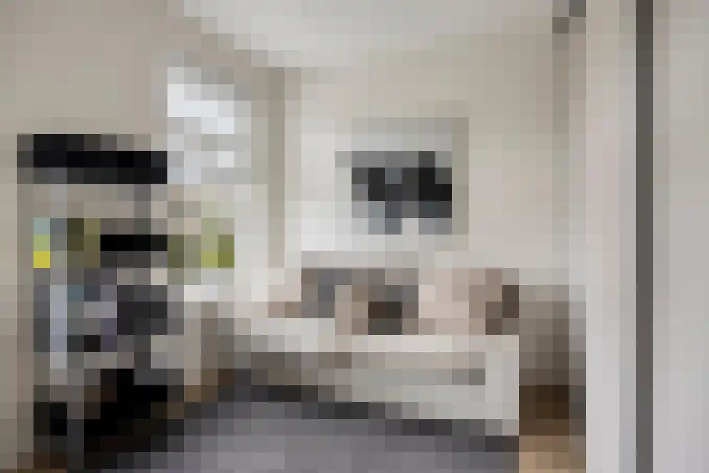 Herderstraat 15 Klazienaveen thumbnail 16