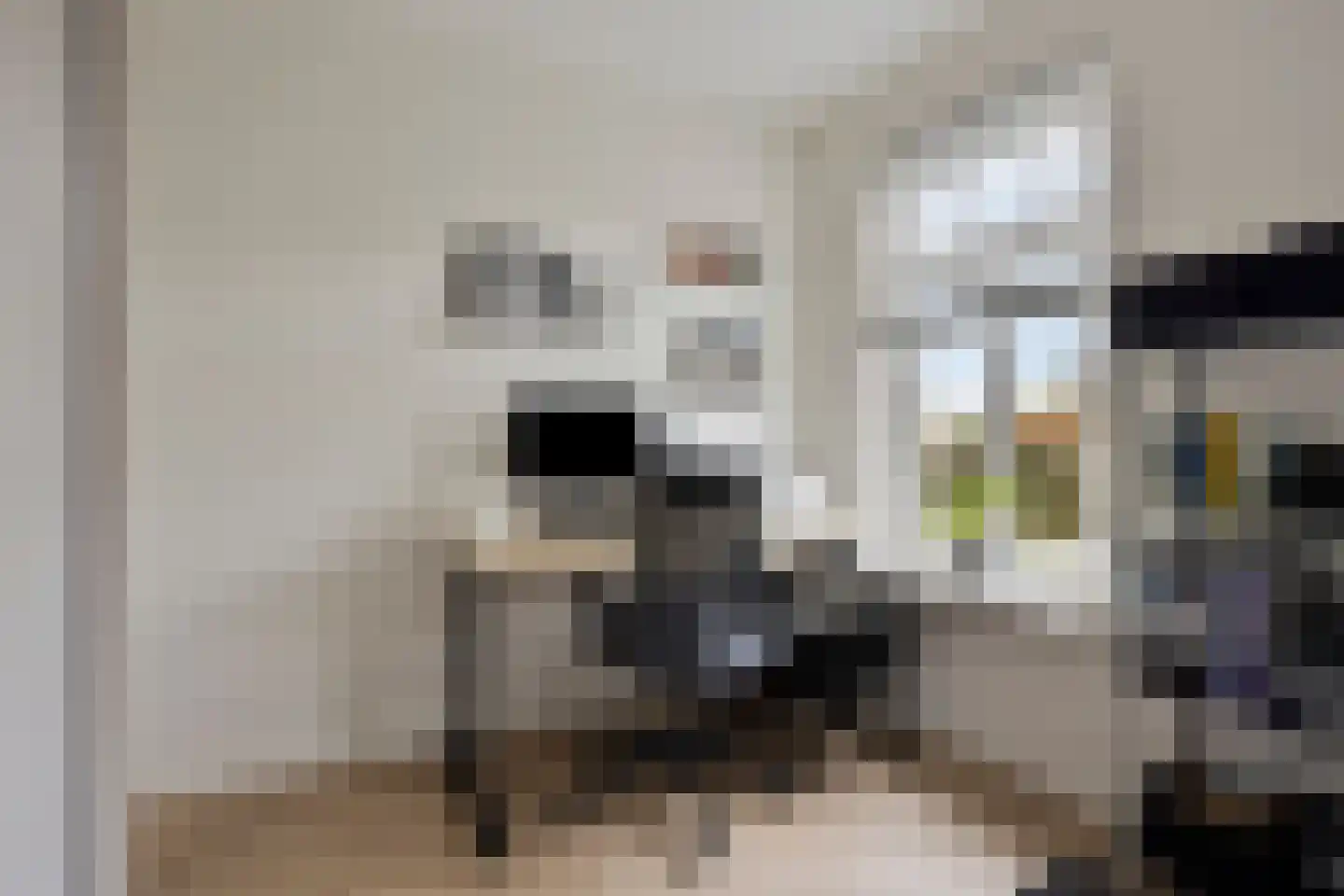 Herderstraat 15 Klazienaveen thumbnail 17