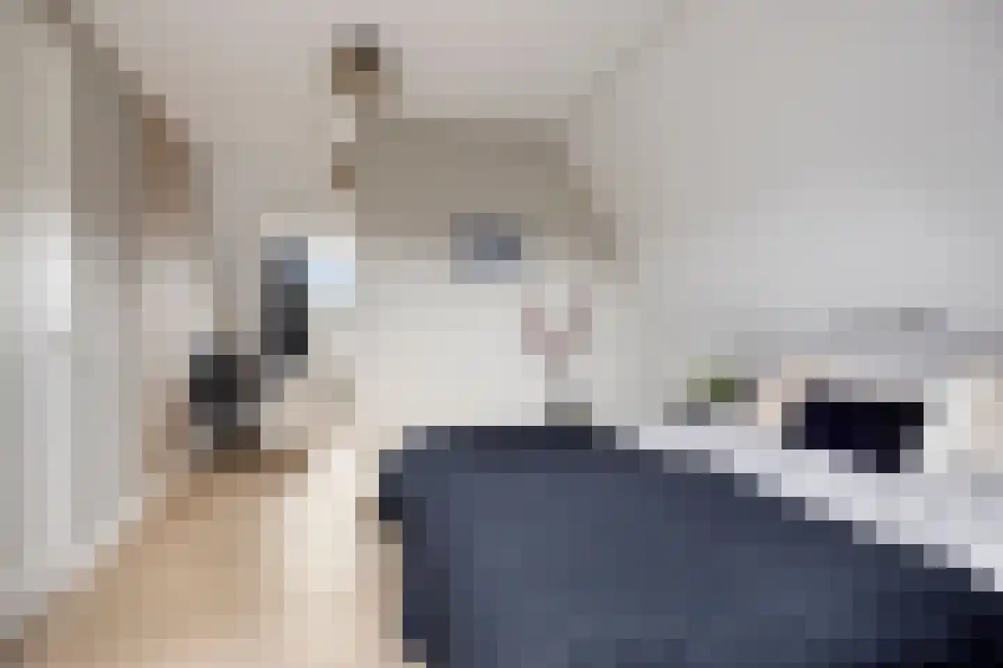 Herderstraat 15 Klazienaveen thumbnail 23