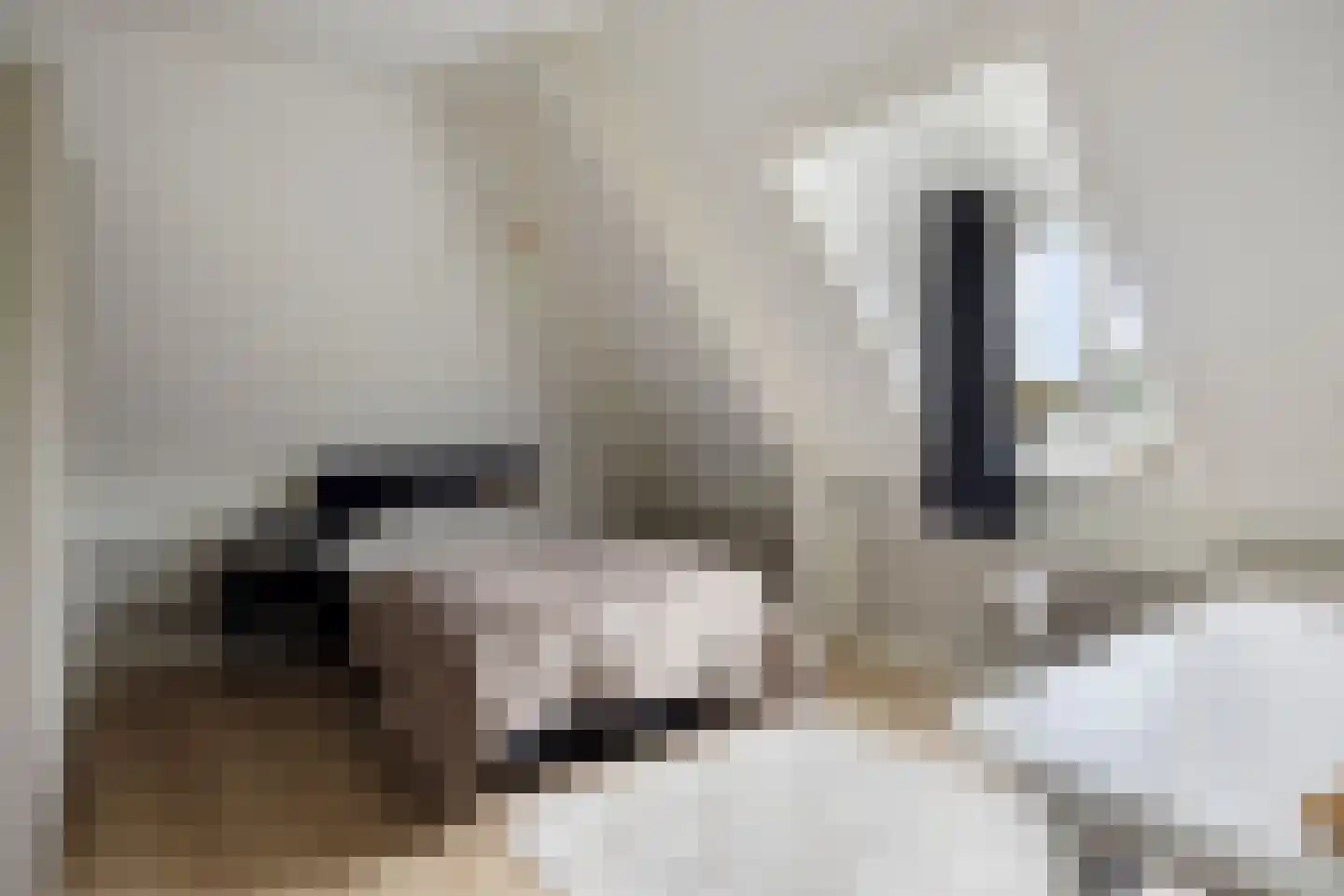 Herderstraat 15 Klazienaveen thumbnail 29