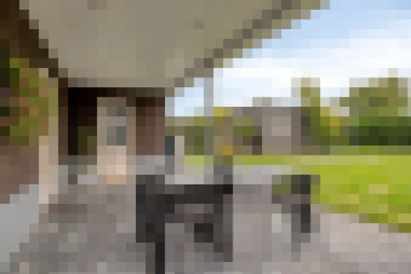Herderstraat 15 Klazienaveen thumbnail 30
