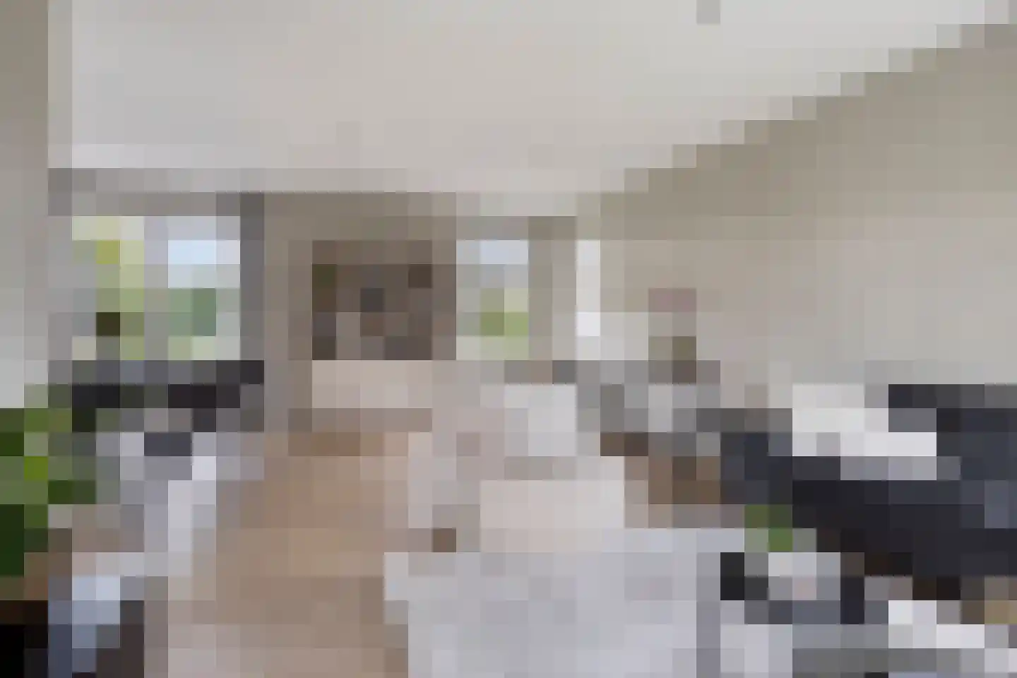Herderstraat 15 Klazienaveen thumbnail 5