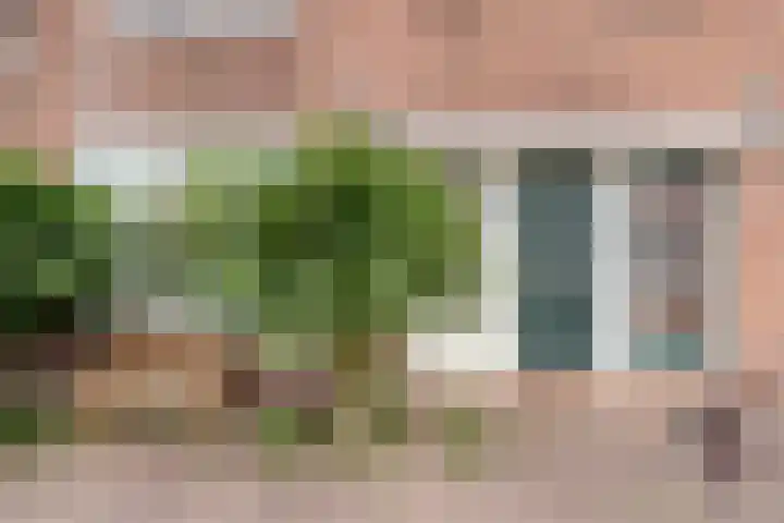 Herderstraat 17 Zaandam thumbnail 5