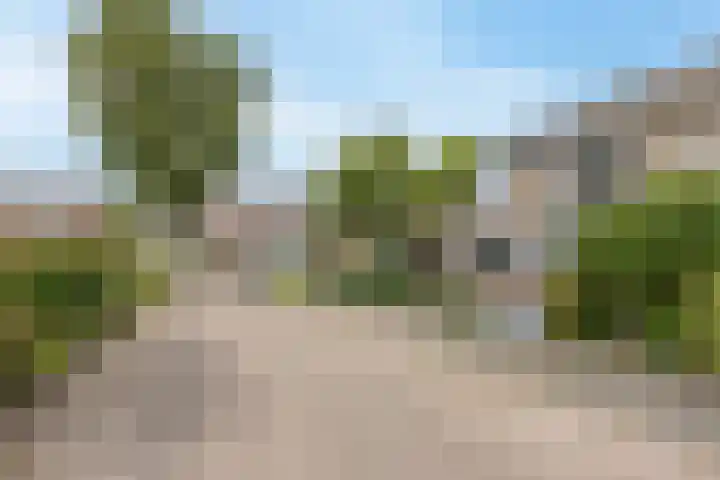Herderstraat 2 Jisp thumbnail 30
