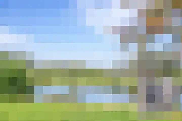 Herderstraat 2 Jisp thumbnail 32