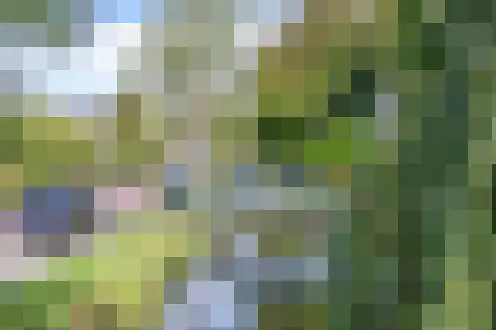 Herderstraat 2 Jisp thumbnail 33