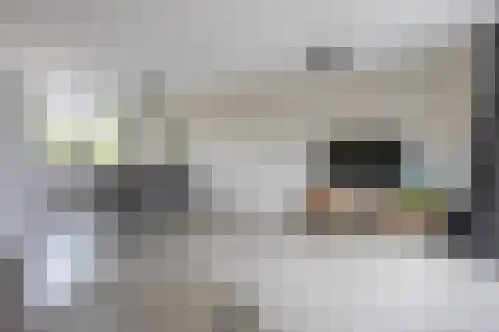 Herderstraat 2 Jisp thumbnail 4