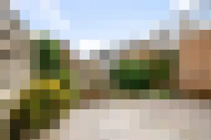 Herderstraat 3 Jisp thumbnail 13