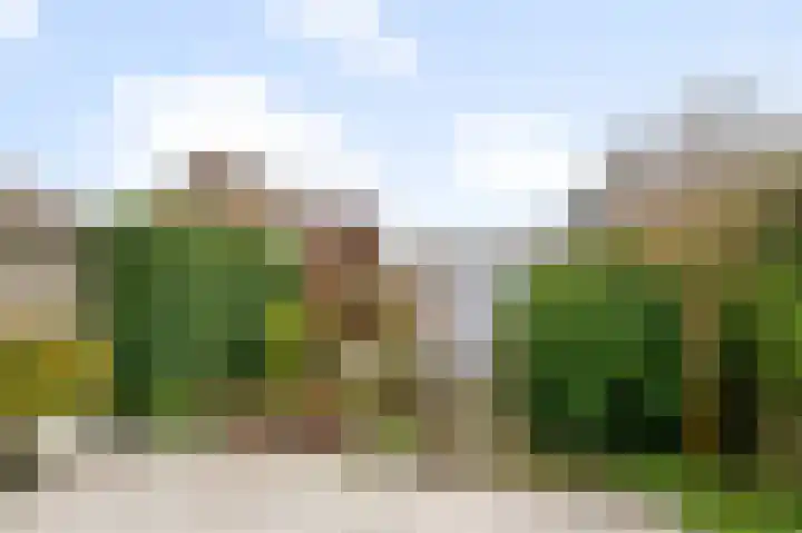 Herderstraat 3 Jisp thumbnail 14
