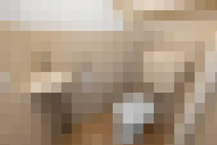 Herderstraat 3 Jisp thumbnail 15