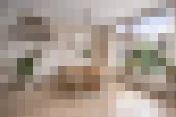 Herderstraat 3 Jisp thumbnail 5