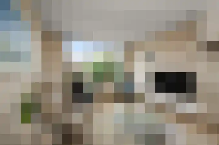 Herderstraat 3 Jisp thumbnail 6