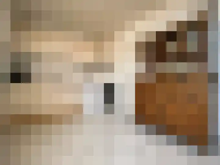 Herderstraat 6 Echt thumbnail 8