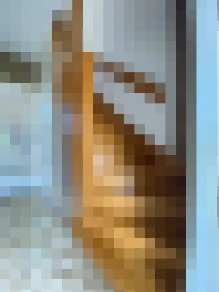 Herderstraat 6 Echt thumbnail 9