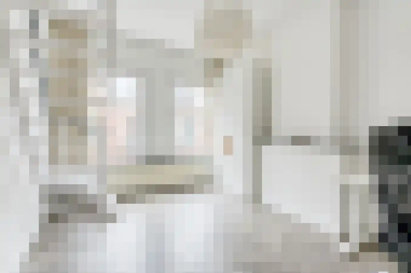 Herderstraat 7 Den Haag thumbnail 13