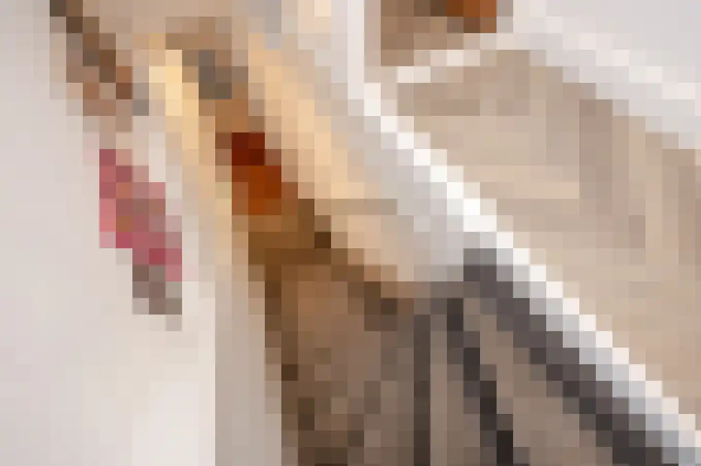 Herderstraat 7 Den Haag thumbnail 6