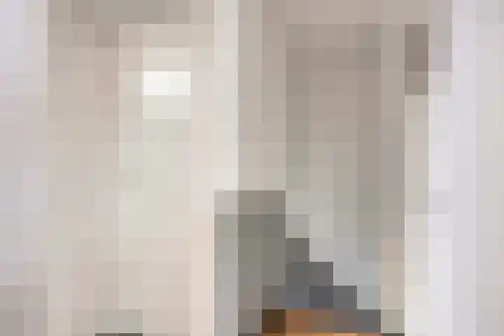 Herderstraat 7 Echt thumbnail 14
