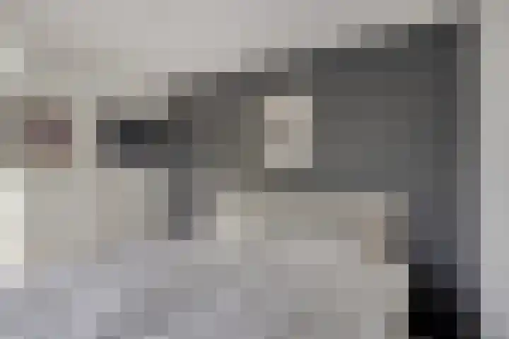 Herderstraat 7 Echt thumbnail 17