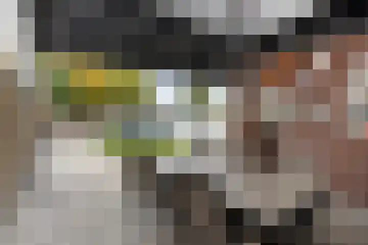 Herderstraat 7 Echt thumbnail 20