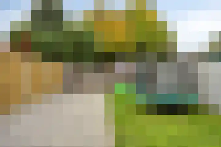 Herderstraat 7 Echt thumbnail 22