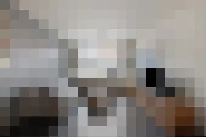 Herderstraat 7 Echt thumbnail 6