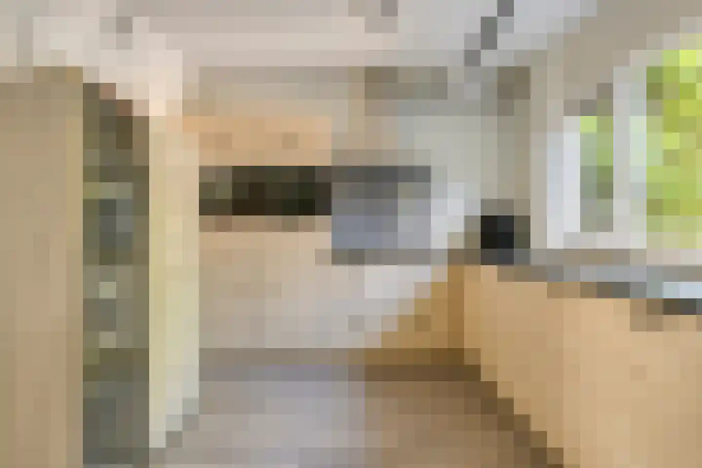 Herdersveld 13 Geldrop thumbnail 10