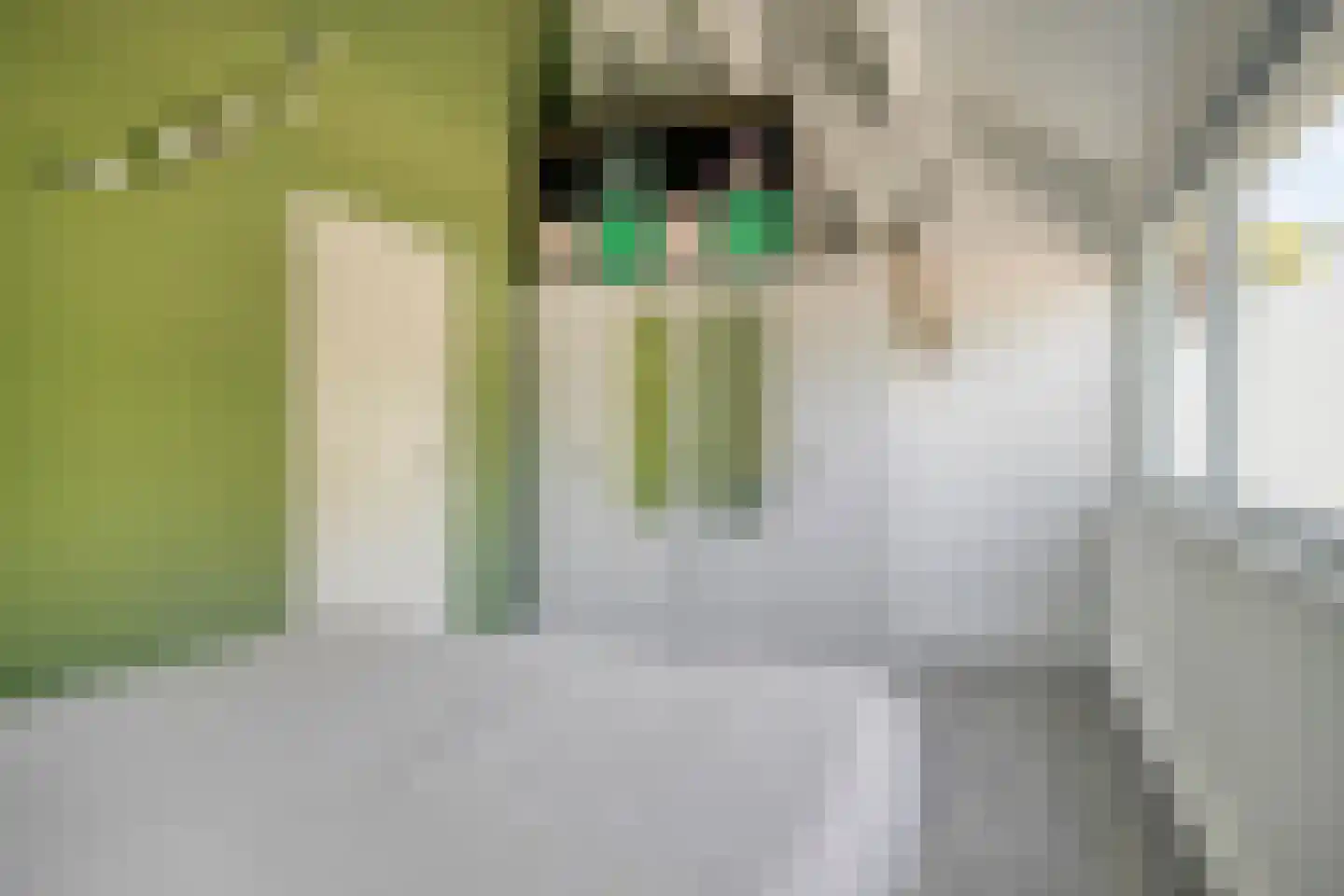 Herdersveld 13 Geldrop thumbnail 14
