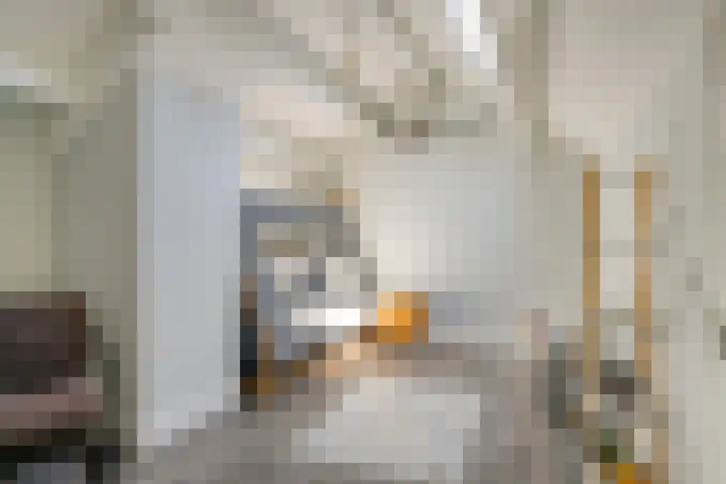 Herdersveld 13 Geldrop thumbnail 20