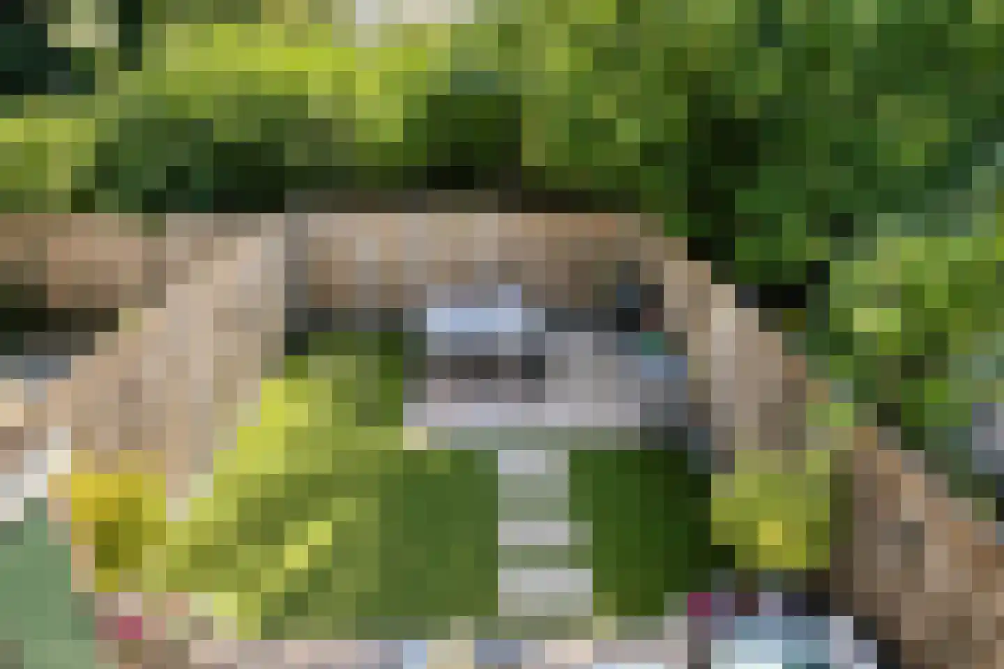 Herdersveld 13 Geldrop thumbnail 23