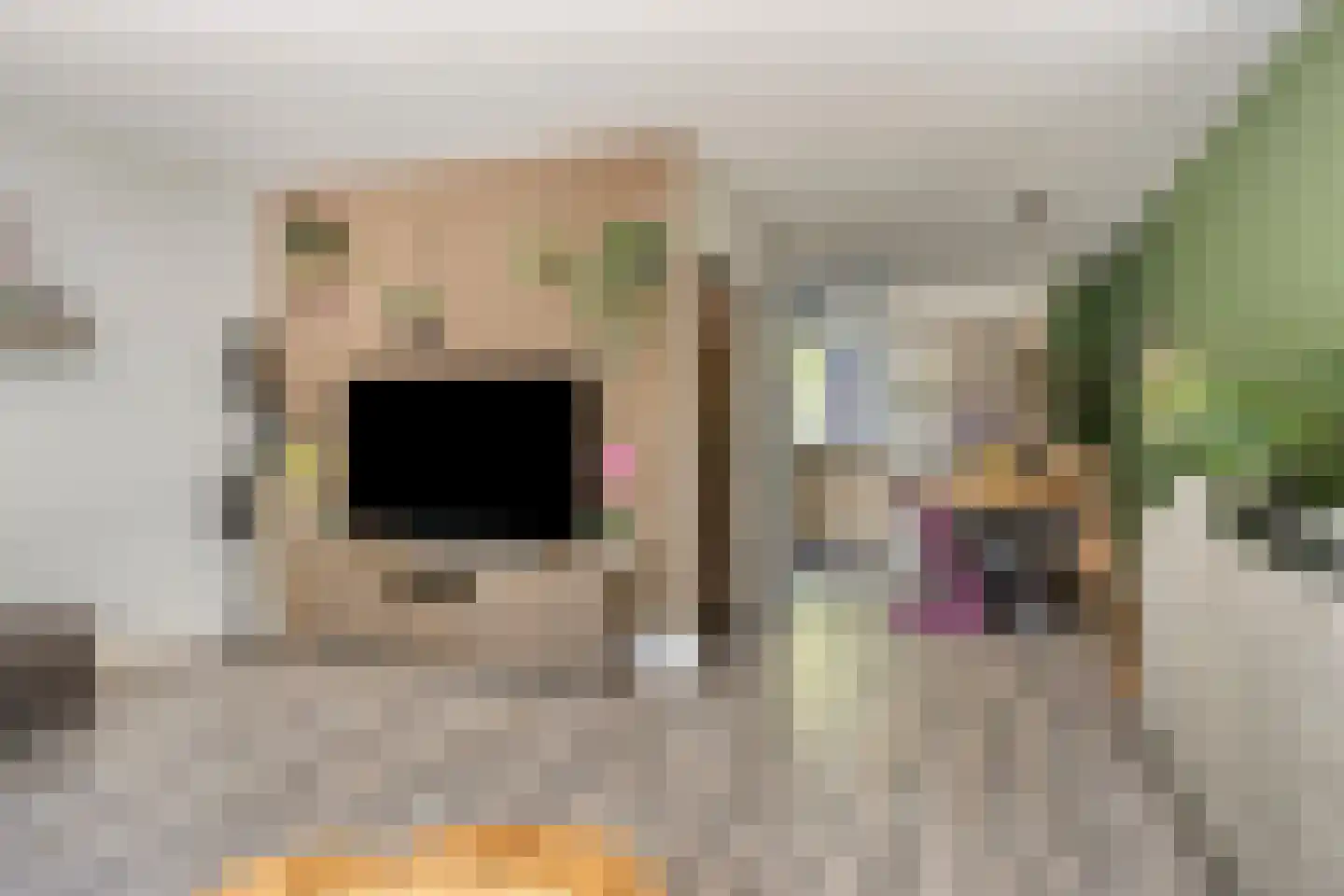 Herdersveld 13 Geldrop thumbnail 7