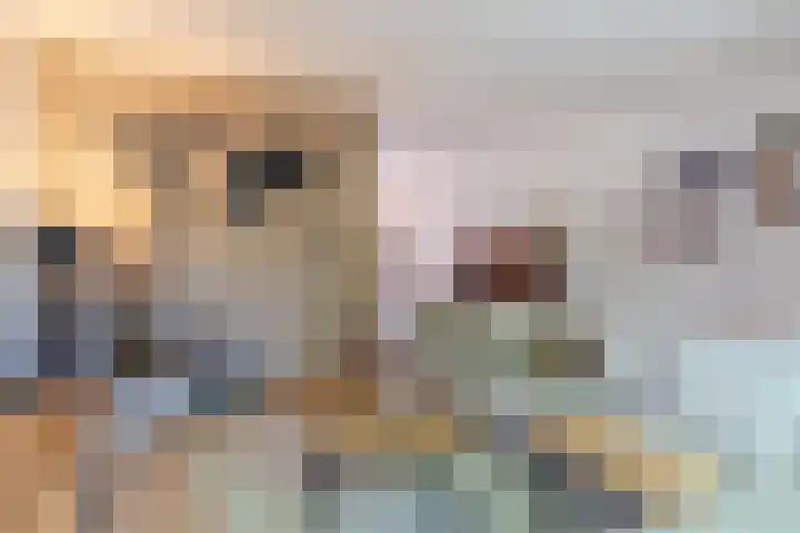 Herdersveld 18 Geldrop thumbnail 12
