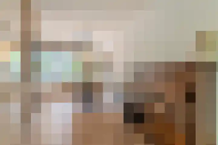 Herdersveld 18 Geldrop thumbnail 13