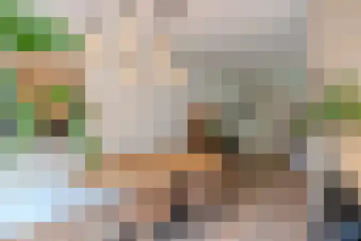 Herdersveld 18 Geldrop thumbnail 15