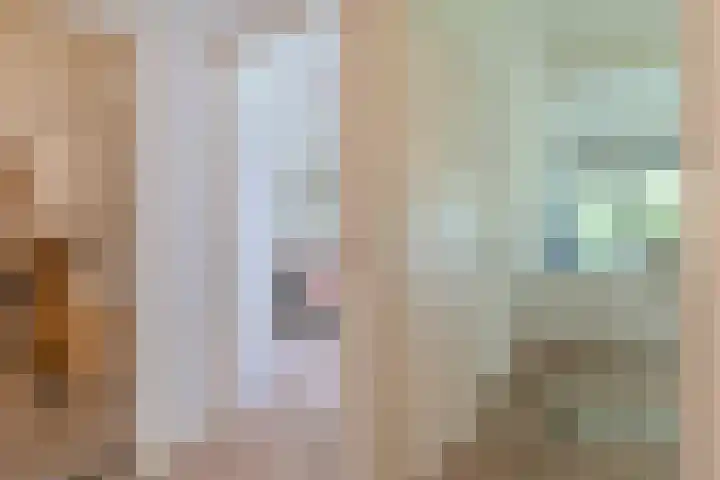 Herdersveld 18 Geldrop thumbnail 20