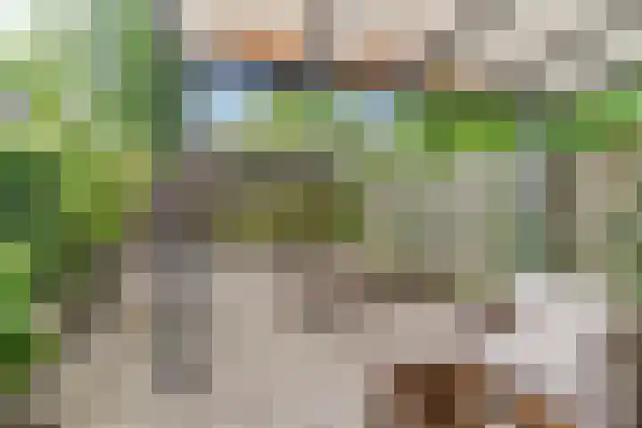 Herdersveld 18 Geldrop thumbnail 30
