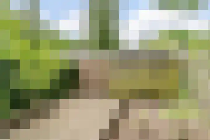 Herdersveld 18 Geldrop thumbnail 31