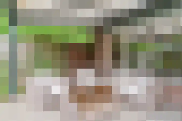 Herdersveld 18 Geldrop thumbnail 32