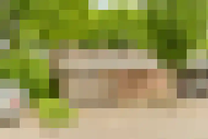 Herdersveld 18 Geldrop thumbnail 37